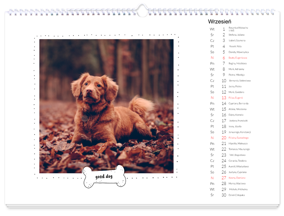 Kalendarz z psem